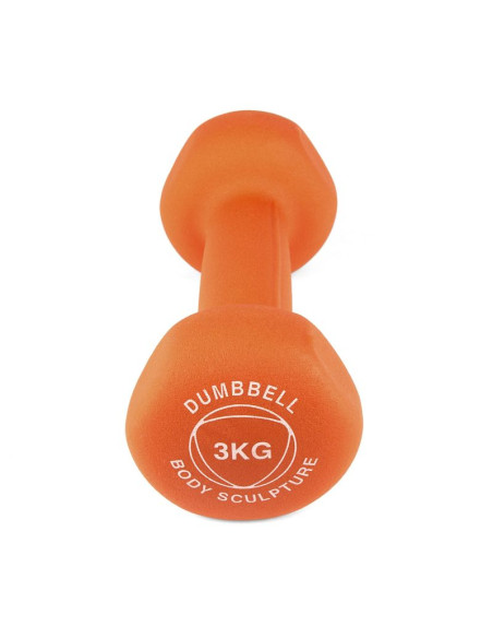 Hantel body sculpture bw 513