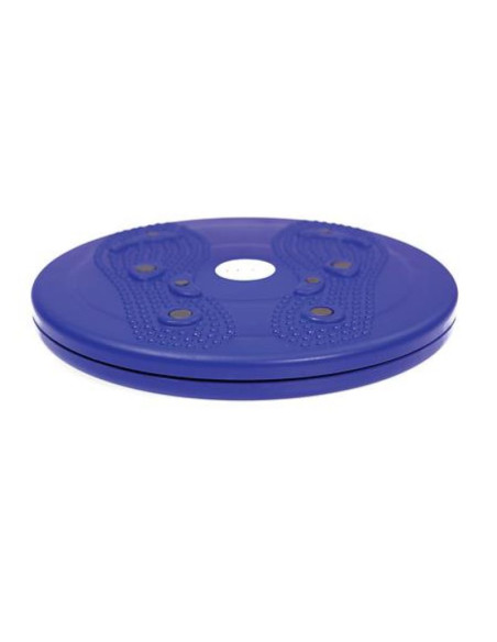 Krążek obrotowy hms