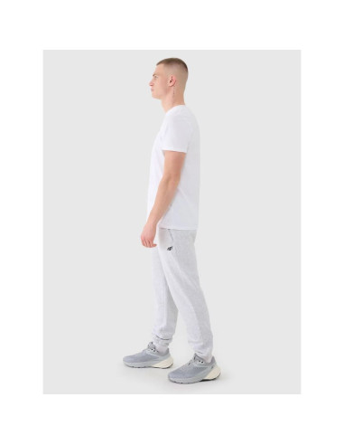 Spodnie dresowe joggery męskie 4f 4fwmm00ttrom1139-27m