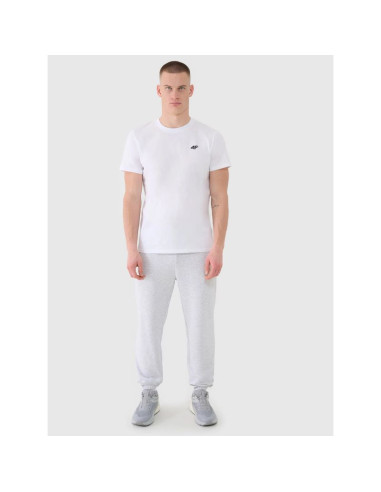 Spodnie dresowe joggery męskie 4f 4fwmm00ttrom1139-27m