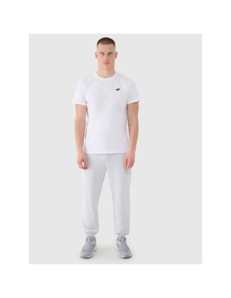 Spodnie dresowe joggery męskie 4f 4fwmm00ttrom1139-27m