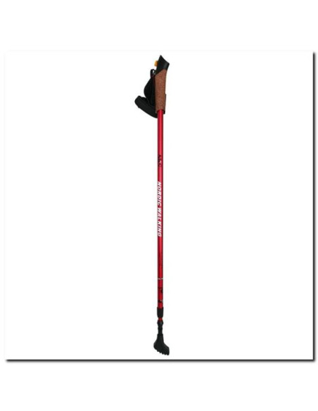 Kije nordic walking nils extreme nw607