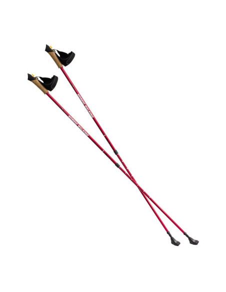 Kije nordic walking nils extreme nw607