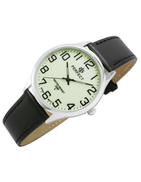 Zegarek męski perfect gxb452-04