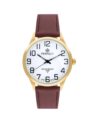Zegarek męski perfect gxb452-12