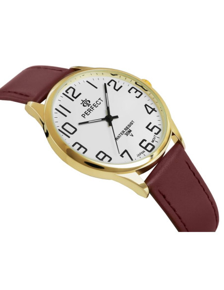 Zegarek męski perfect gxb452-12