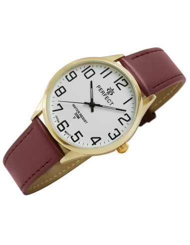 Zegarek męski perfect gxb452-12