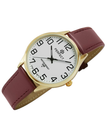 Zegarek męski perfect gxb452-12
