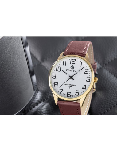 Zegarek męski perfect gxb452-12