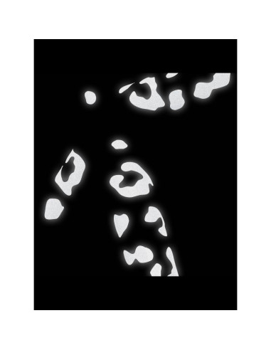 Naklejka bookman reflective leopard print