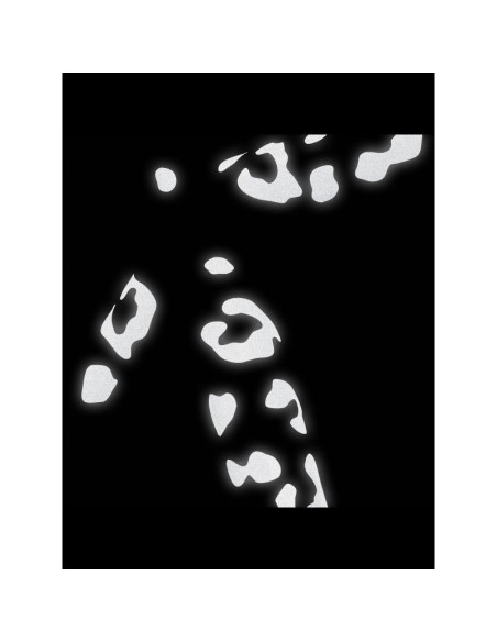 Naklejka bookman reflective leopard print