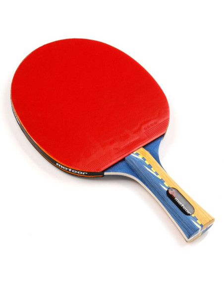 Rakietka do tenisa stołowego meteor windstorm 15018