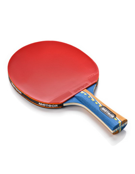 Rakietka do tenisa stołowego meteor windstorm 15018