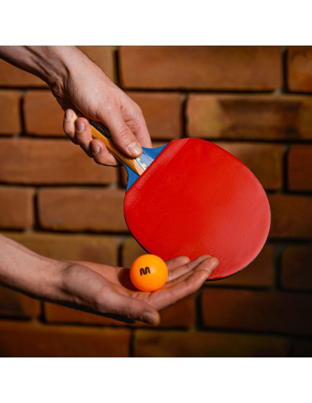 Zestaw do tenisa stołowego meteor 15023