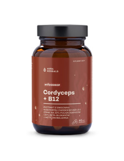 Mycodrop, Cordyceps 30:1 + B12, 30% Beta-Glukan (60 Kaps.)