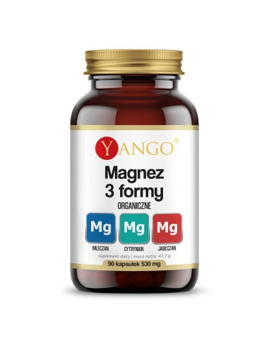 Magnez 3 Formy (90 Kaps.)