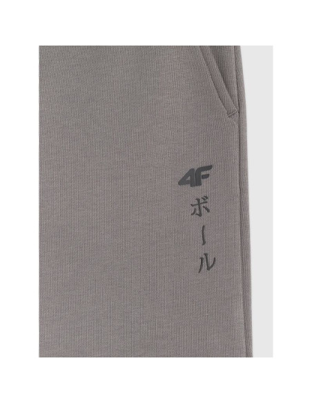 Spodnie joggery 4f jr 4fjraw25ttrom1663