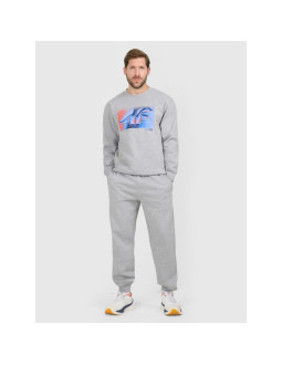 Spodnie dresowe joggery męskie 4f 4fraw25ttrom1832-27m