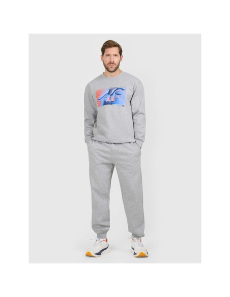 Spodnie dresowe joggery męskie 4f 4fraw25ttrom1832-27m