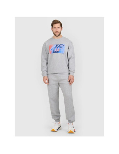 Spodnie dresowe joggery męskie 4f 4fraw25ttrom1832-27m