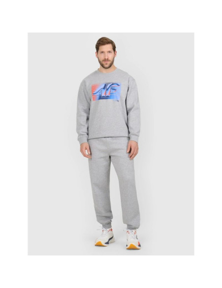 Spodnie dresowe joggery męskie 4f 4fraw25ttrom1832-27m