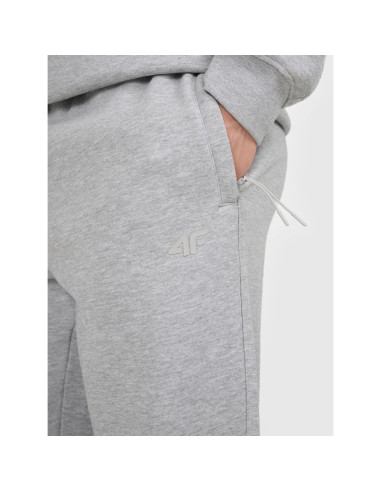 Spodnie dresowe joggery męskie 4f 4fraw25ttrom1832-27m