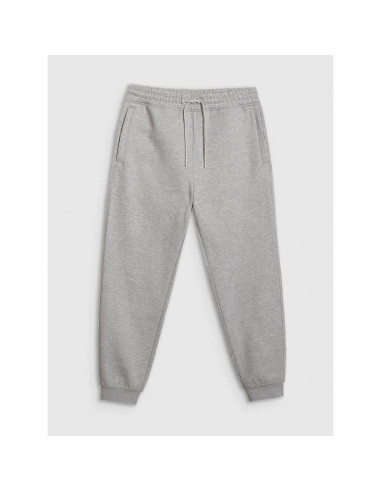 Spodnie dresowe joggery męskie 4f 4fraw25ttrom1832-27m