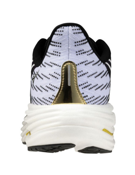 Buty mizuno wave rider 29 j1gc266301