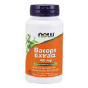 Bacopa Extract 450 mg (90 kaps.)