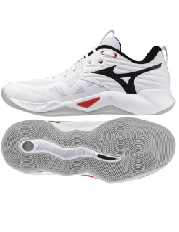 Buty mizuno wave momentum pro v1ga254059