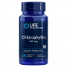 Chlorophyllin - Chlorofilina 100 mg (100 kaps.)