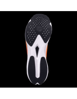 Męskie buty do biegania carrera 2