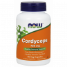 Grzyb Cordyceps 750 mg (90 kaps.)