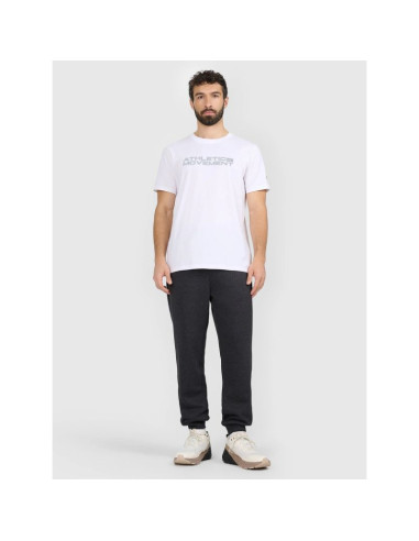 Spodnie dresowe joggery męskie 4f 4fraw25ttrom1696-22s