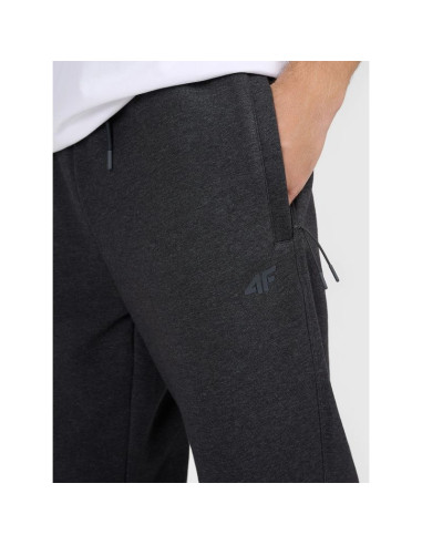 Spodnie dresowe joggery męskie 4f 4fraw25ttrom1696-22s
