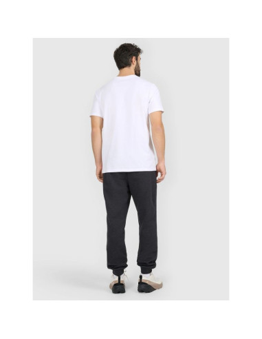 Spodnie dresowe joggery męskie 4f 4fraw25ttrom1696-22s