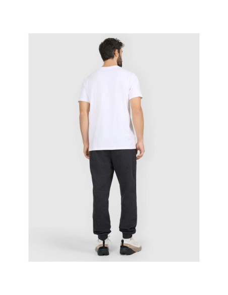 Spodnie dresowe joggery męskie 4f 4fraw25ttrom1696-22s