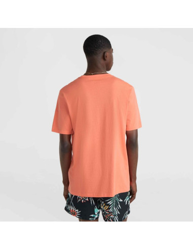 Koszulka o'neill mix & match palm t-shirt m