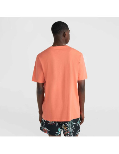 Koszulka o'neill mix & match palm t-shirt m