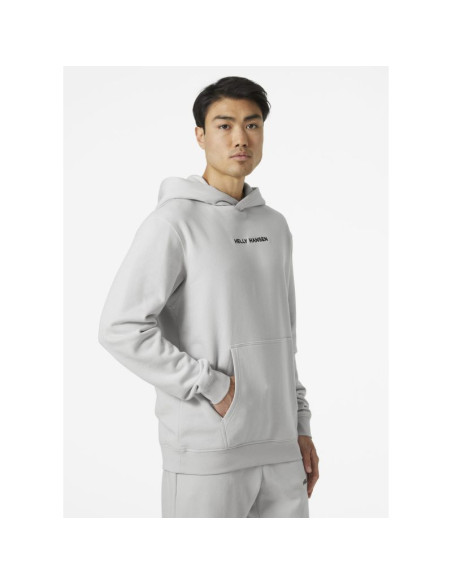 Bluza helly hansen core graphic sweat hoodie m 53924