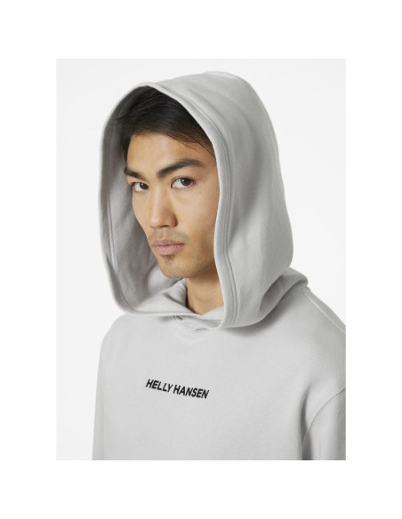 Bluza helly hansen core graphic sweat hoodie m 53924