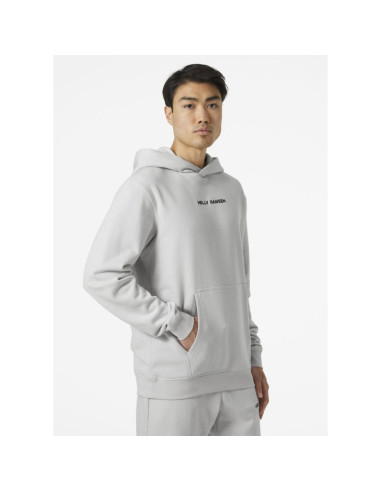 Bluza helly hansen core graphic sweat hoodie m 53924