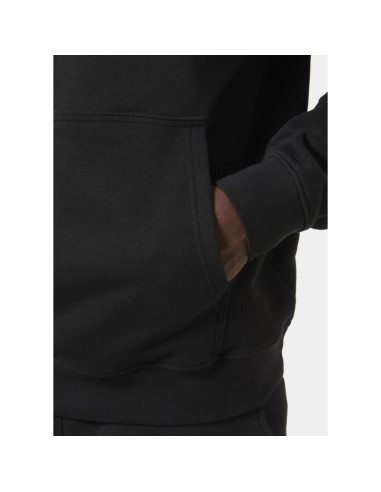 Bluza helly hansen z kapturem core graphic sweat hoodie m 53924