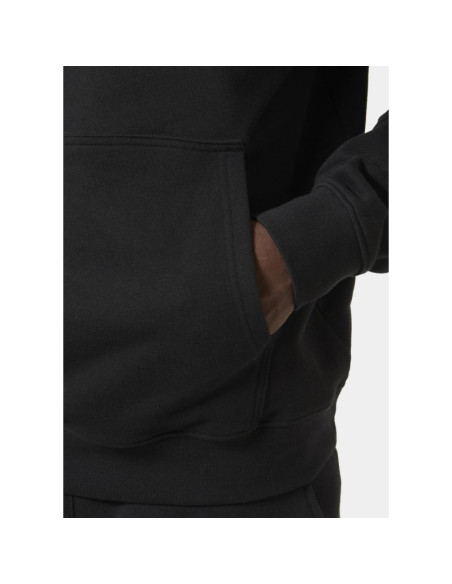 Bluza helly hansen z kapturem core graphic sweat hoodie m 53924