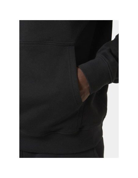 Bluza helly hansen z kapturem core graphic sweat hoodie m 53924