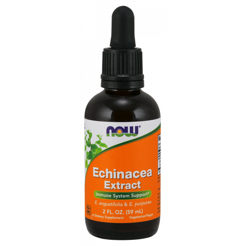 Echinacea Extract - Jeżówka (59 ml)