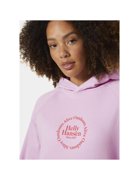 Bluza helly hansen core graphic hoodie w 54239