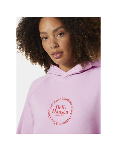 Bluza helly hansen core graphic hoodie w 54239