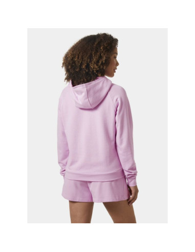 Bluza helly hansen core graphic hoodie w 54239