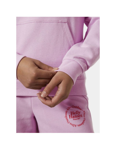 Bluza helly hansen core graphic hoodie w 54239